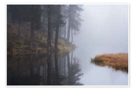 Tableau A foggy morning at a lake in the Dolomites - Martin Podt