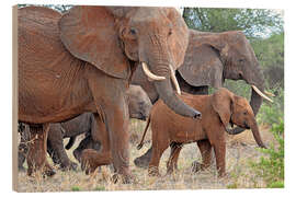 Puutaulu Herd of elephants - GUGIGEI