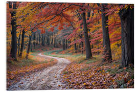 Cuadro de metacrilato Autumn in the forest - Mango Art