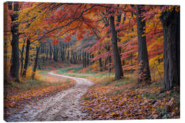Lienzo Autumn in the forest - Mango Art