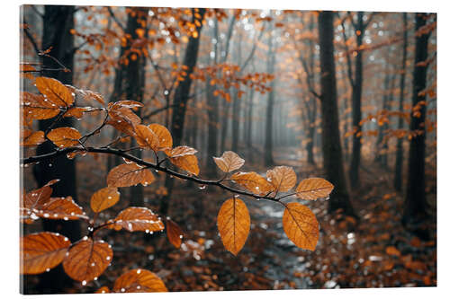 Acrylic print Rain in autumn