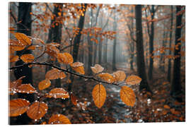 Acrylic print Rain in autumn - Mango Art