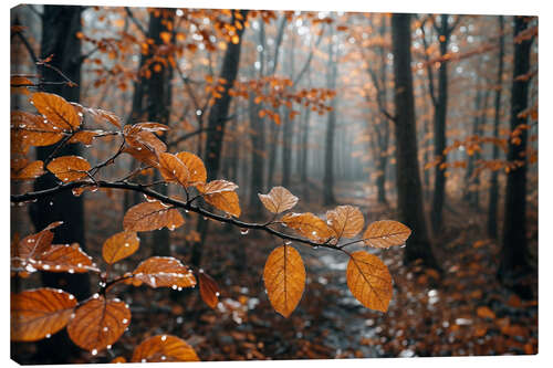 Lienzo Rain in autumn