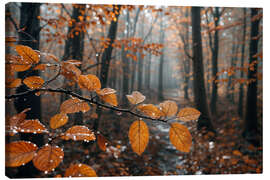 Lienzo Rain in autumn - Mango Art