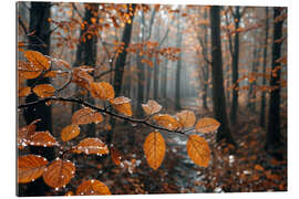 Gallery Print Regen im Herbst