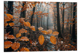 Magnettafel Regen im Herbst