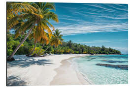 Aluminium print Pristine Tropical Beach