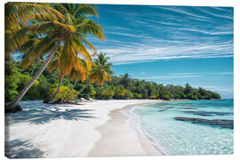 Canvas-taulu Pristine Tropical Beach