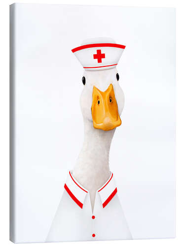 Obraz na płótnie Nurse duck