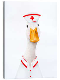 Obraz na płótnie Nurse duck - Valeriya Korenkova