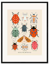 Gerahmter Kunstdruck Käfer und Schmetterlinge