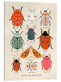 Gallery Print Käfer und Schmetterlinge