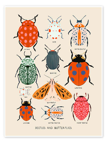 Poster Beetles and butterflies