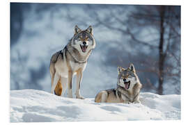 Hartschaumbild Wölfe im winterlichen Wald