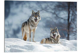Gallery Print Wölfe im winterlichen Wald