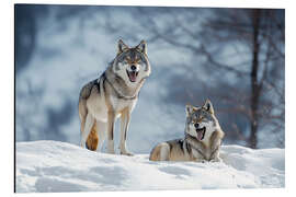 Magnettafel Wölfe im winterlichen Wald