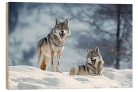 Obraz na drewnie Wolves in the winter forest - Christian Müringer
