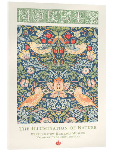 Acrylglasbild The Illumination of Nature - William Morris