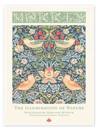 Reprodução The Illumination of Nature - William Morris - William Morris