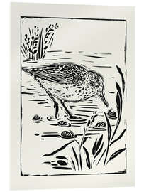 Acrylic print Linocut Style Seabird I - Victoria Barnes