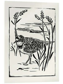 Acrylic print Seabird in Linocut Style II - Victoria Barnes