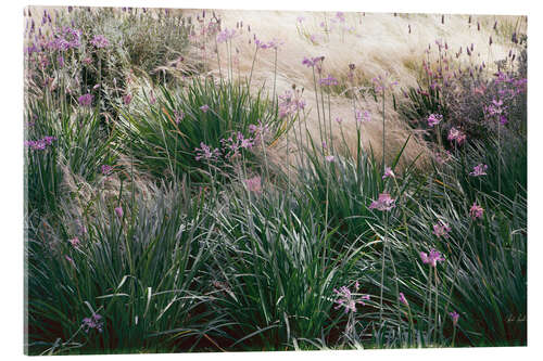 Acrylic print Secret Garden