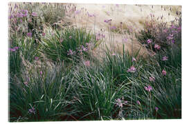 Acrylic print Secret Garden