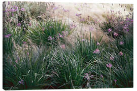 Canvas print Secret Garden