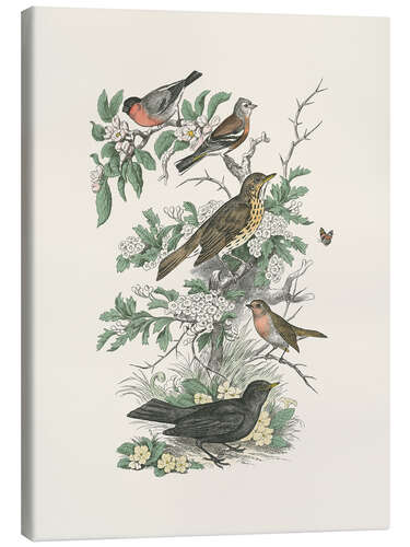 Tableau sur toile Honeybloom Bird I