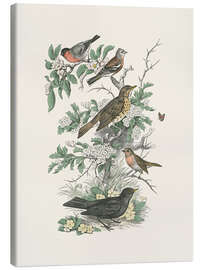 Tableau sur toile Honeybloom Bird I
