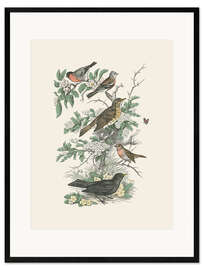 Impresión de arte enmarcada Honeybloom Bird I
