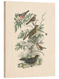 Tableau en bois Honeybloom Bird I