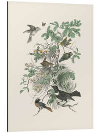 Quadro em alumínio Honeybloom Bird II