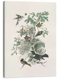 Lienzo Honeybloom Bird II