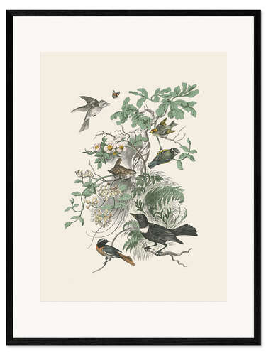 Impresión de arte enmarcada Honeybloom Bird II