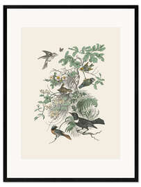 Impresión de arte enmarcada Honeybloom Bird II
