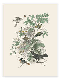Poster Honeybloom Bird II