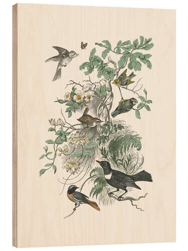 Wood print Honeybloom Bird II