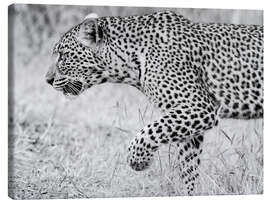 Lienzo Leopard - Jones &amp; Shimlock