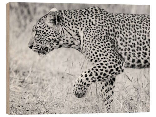 Wood print Leopard