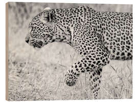 Wood print Leopard - Jones &amp; Shimlock