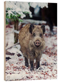 Wood print Wild Boar in the Snow - Jones &amp; Shimlock