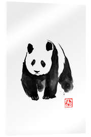 Akrylbillede Giant Panda