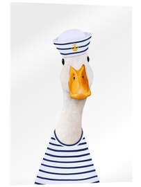 Acrylic print Sea ​​duck