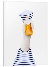 Aluminium print Sea ​​duck