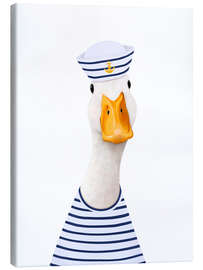 Lærredsbillede Sea ​​duck