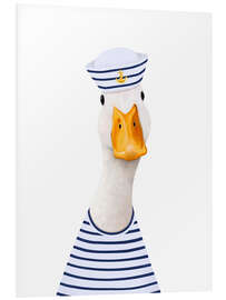 Quadro em PVC Sea ​​duck
