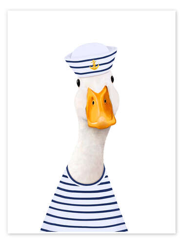 Poster Sea ​​duck