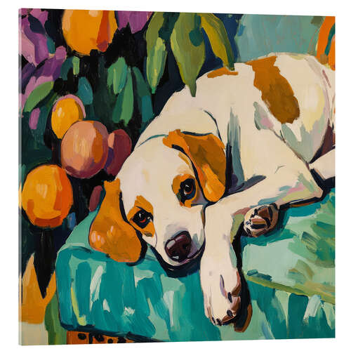 Acrylic print Lazy mood