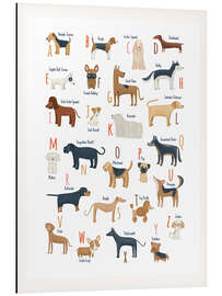 Aluminium print Dog Breed Alphabet